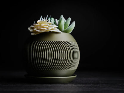 GadgetGifters Unique Indoor Planter Pot – Stylish Decorative Pot for Succulents, Cacti & Houseplants